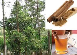 Check out this page on the health benefits of cinnamon and more. The Health Benefits Of Cinnamon Medchrome