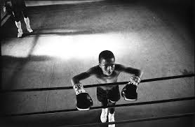 Boxing Boy Boxing Boy Train Photography Boxing Girl Muay Thai Training
