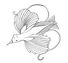 Animal coloring pages for adults. Bird Paradise Coloring Page Stock Illustrations 183 Bird Paradise Coloring Page Stock Illustrations Vectors Clipart Dreamstime