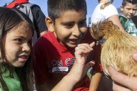 Galt students have a field day at Liberty Ranch High School