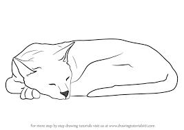 Learn How To Draw A Sleeping Cat Cats Step By Step Drawing Tutorials