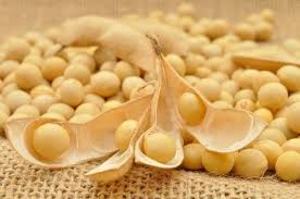 We did not find results for: I Germogli Tossici Quali Sono E Come Evitare I Rischi Cure Naturali It