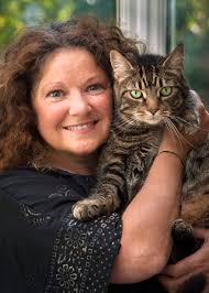 Blog Tour: Let's Talk About Cats by Anita Kelsey