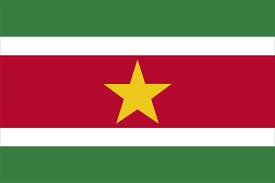 Siberia flag has three equal horizontal bands of green, white and green along with a quarter black vertical band at the hoist. Flag Of Suriname Britannica