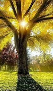 Silent Beautiful Nature Beautiful Landscapes Landscape Wallpaper