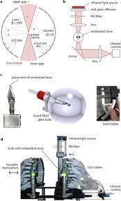 Metal kitchen rack w \/metal rods vs cones function of acute vision. Spherical Arena Reveals Optokinetic Response Tuning To Stimulus Location Size And Frequency Across Entire Visual Field Of Larval Zebrafish Biorxiv