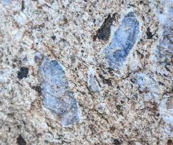 What are these crystalized inclusions ...