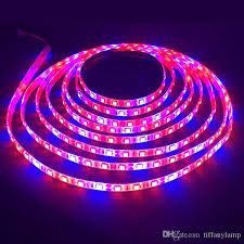 12v Grow Light Led Strip Smd 5050 Rb Red Blue Light Full Spectrum Indoor Outdoor Plant Grow Lamp For Greenhouse Hydroponic Plant Outdoor Led Strip Lights Battery Powered Led Light Strips From