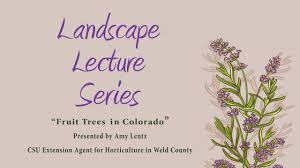 We did not find results for: Fruit Trees In Colorado Landscape Lecture Series Youtube