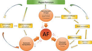 Assay kits · bioactive compounds · order online Invited Review Hypertension And Atrial Fibrillation Epidemiology Pathophysiology And Implications For Management Journal Of Human Hypertension
