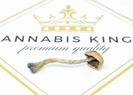 Liquid gold nug run cannabis oil is labeled indica, sativa, and hybrid specific. Buy Cannabis Online In Canada Mail Order Dispensary Cannabis Kings