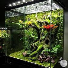 Pin On Aquarium Ideas