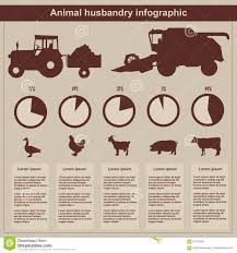 Animal Husbandry Infographic Agriculture Flat Design