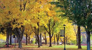 Martha Haley-Bowling