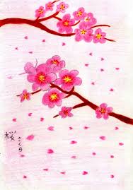 Kenapa tak mencoba menggambar sketsa bunga sakura saja. Jual Lukisan Pensil Warna Bunga Sakura Di Lapak Farizandi Hadi Prasetyo Bukalapak