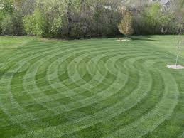 Black And Decker Wizard Rotary Tool How To Change Bit Lawn Striper Big League Lawns Lawn And Landscape Lawn Striping Lawn Striping Kits