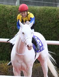 Manage your video collection and share your thoughts. æ¡œèŠ±è³ž ãƒ¬ãƒ¼ã‚¹å±•æœ› ã‚µãƒ³ã‚¹ãƒzbat ç«¶é¦¬