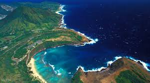 In addition to the turtles, snorkelers can take a peek at the humuhumunukunukuapuaa (the state fish of hawaii) milletseed butterfly fish, yellow tangs, trumpet fish, angel fish, and many more. Hanauma Bay Snorkeling With Transfers To From Waikiki Klook Us