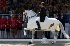 The news follows their team gold medal and individual silver medal at the tokyo 2020 olympics. Pin On Eq Fran Jurga S Equestrian Sports Blog