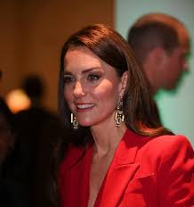 Daniela Elser: Kate's power suit move and early childhood work reveal Harry  and Meghan problem