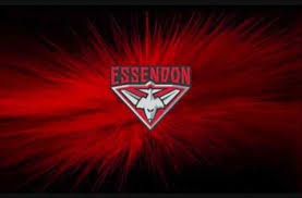 Pin By Heather King On Essendon Essendon Football Club Football Team Logos Afl