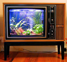 10 Ide Unik Ubah Televisi Lama Untuk Dekorasi Ruangan Di 2020 Aquarium Ikan Daur Ulang Aquarium