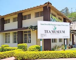 Image of Tata Tea Museum Munnar