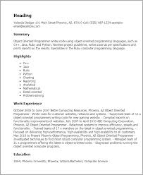 professional object oriented programmer