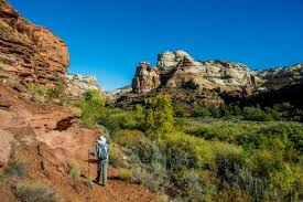 Trump’s Utah Monument Land Grab: How Native Tribes Are Fighting Back Against a ‘Sacred Site Slash’