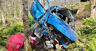 We did not find results for: Tiga Maut Kereta Rempuh Pokok Getah