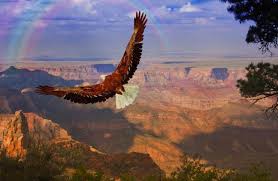 Pe cele 163 de etaje există un hotel armani. Cel Mai Mare Canion Din Lume Cel Mai Adanc Canion Din Lume