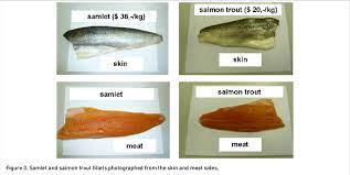 Samlet And Salmon Trout Fillets Photographed From The Skin And Meat Download Scientific Diagram