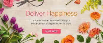 Green sheet moss, green reindeer moss, and river rocks cover the roots of the flowers, so your. Brickell Fl Florist Free Flower Delivery In Brickell Fl Brickell Ave Florist