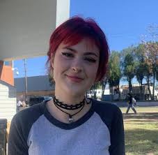 McCallum High School, The Shield—Vol 72, Issue No 2 (12-13-24) by The  Shield