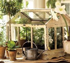 Wooden Terrarium Beautiful Terrariums Herbs Indoors Wooden Greenhouses