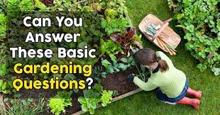 There are more microorganisms in one teaspoon of soil than there are people … Can You Answer These Basic Gardening Questions Quizpug