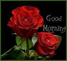 Check spelling or type a new query. 56 Best Good Morning Flowers Images Boom Sumo