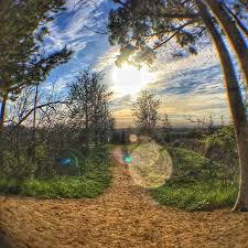 The Fisheye Lens And An Unexpected Lens Flare Resulted In This Surreal Look That I M Really Appreciating Lens Flare Fish Eye Lens Instagram