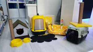 Sari Renk Kedi Baslangic Seti Suadiye Hi One Pet Shop Evlere Servis