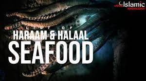 Let me show you how! Is Octopus Is Halal In Islam Forex