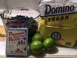 We did not find results for: Low Sugar Blueberry Lime Jam 4 Steps With Pictures Instructables
