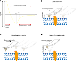 Photo diode technology pn & pin photodiodes avalanche photodiode schottky photodiode photodiode there is a number of different types of photodiode: Application Of Atomic Force Microscopy In Cancer Research Journal Of Nanobiotechnology Full Text