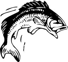 White background with sparkle of monochrome silhouette emblem with salmon bass fish logo fishing club. Animals Outline Silhouette Cartoon Bass Fish Free Automatic Jumping Fishing Fisch Clipart Images