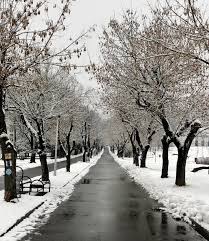 Astăzi e miercuri, 31 martie 2021. Cum StÄƒm Azi Cu Vremea È™i Cu Drumurile In MaramureÈ™ EziarultÄƒu