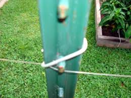 In their case, the consequences are steep. A Nearly Invisible Fishing Line Deer Fence