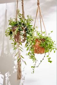 A Vegetation Aerienne On Adore Des Petits Macrames Tres Green Pour Des Notes Vegetales Suspendues Castorama Bricol Castorama Jardin Exterieur Grand Jardin