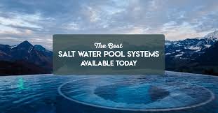 2021 S Best Salt Water Pool Systems Reviews Buying Guide The Rex Garden