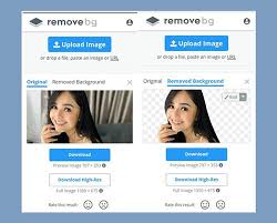 Alternatively, you could choose to copy the url of the image and paste it into the enter a url section. Download Remove Bg Apk Automatic Background Eraser