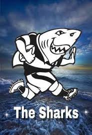 Bullshark is one of the sea creatures of the ocean. 37 Sharks Rugby Ideas Rugby Shark Rugby Sport