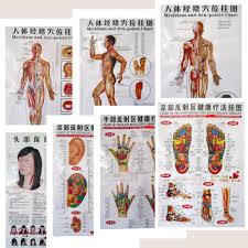 Us 12 98 7pcs English Hand Foot Ear Body Meridian Points Of Human Wall Chart Female Male Acupuncture Massage Point Map Flipchart Free In Massage